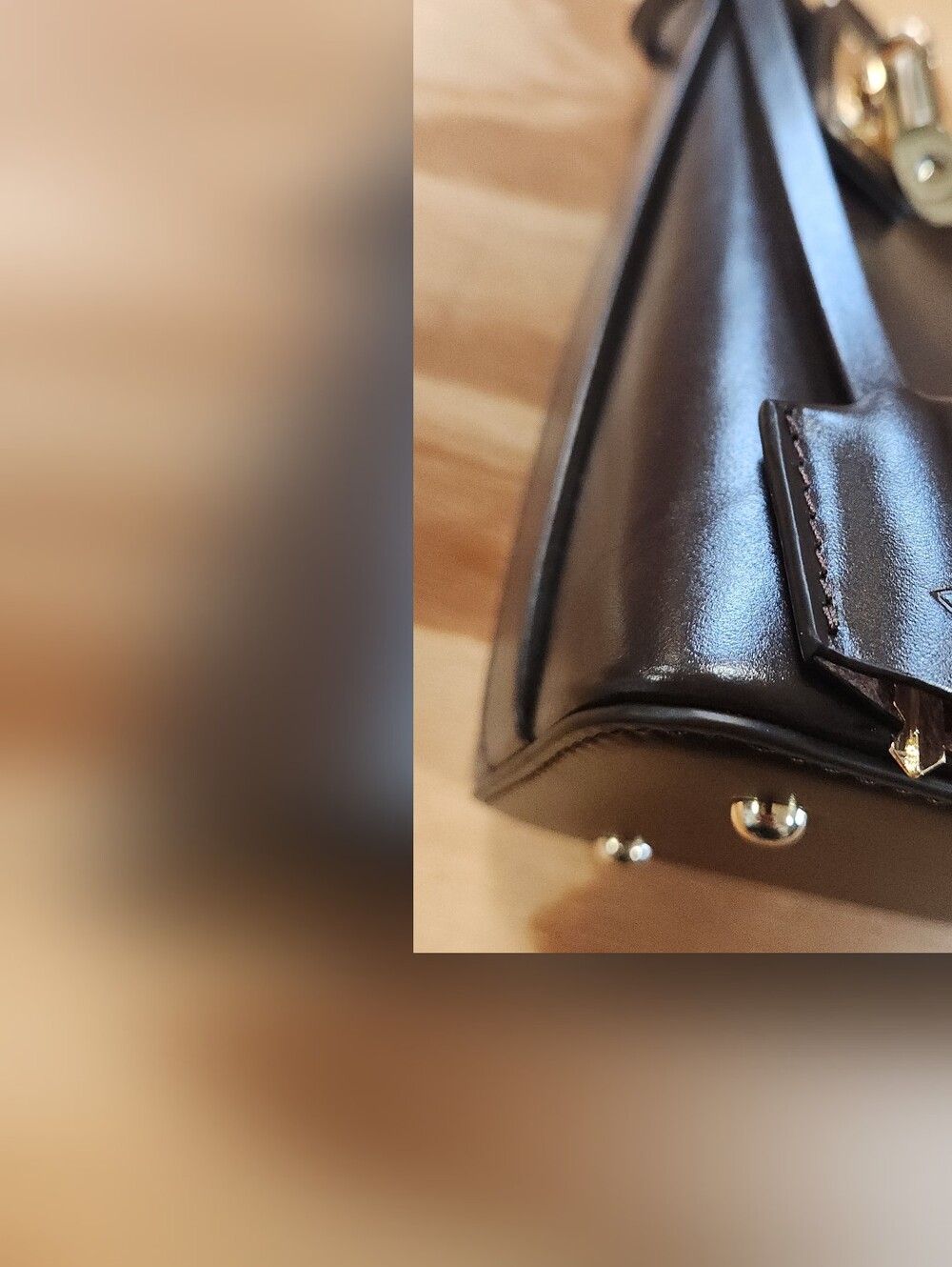 Verified Hobo Bag - Picture 7 of 16